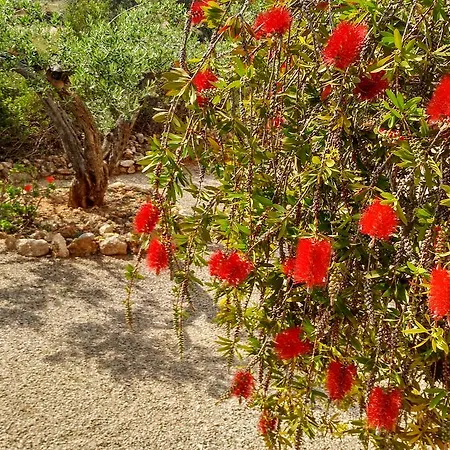 La Casa De Ivet * L'Ampolla